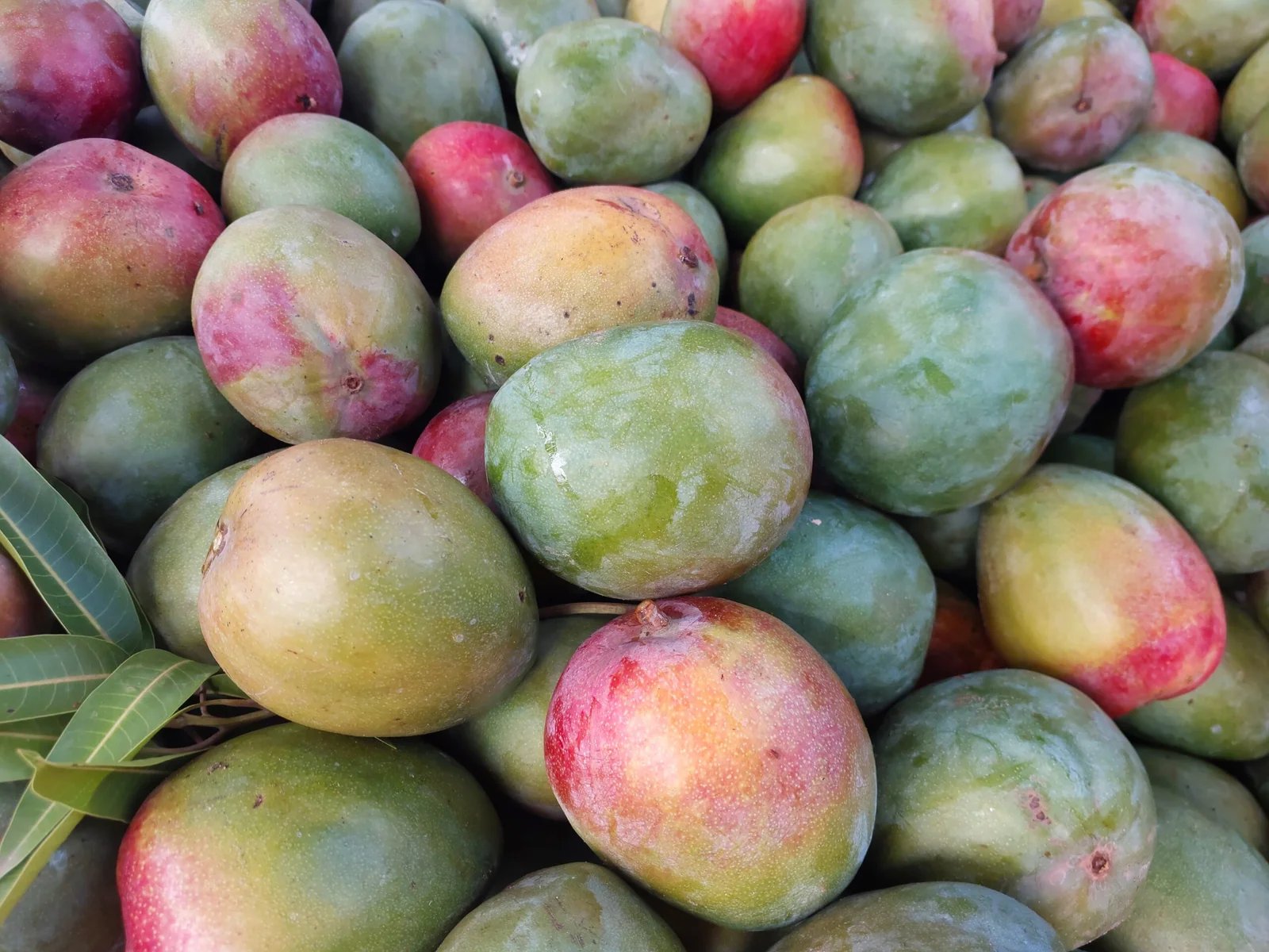 Producteurs de fruits locaux