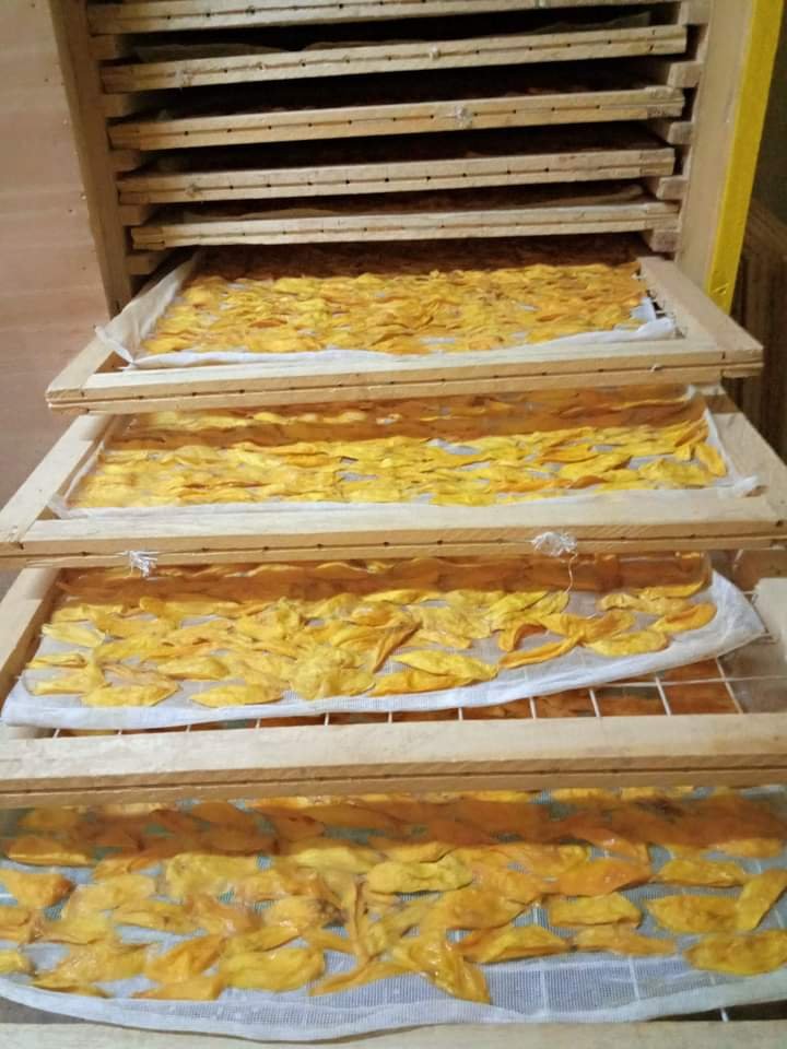 Mangues séchées naturelles du Burkina Faso – Saveur sucrée et 100% fruit – Image 3