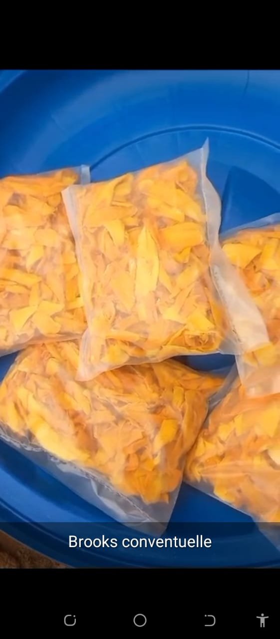 Mangues séchées naturelles du Burkina Faso – Saveur sucrée et 100% fruit