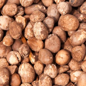 Noix de karité du Burkina Faso – Beurre de karité premium certifié bio et équitable